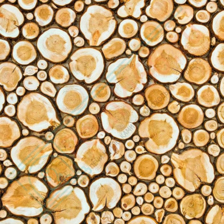 Панно из можжевельника на щите 2000х500 мм