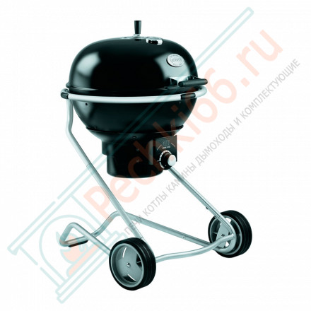 Сферический угольный гриль Air F60 (ROSLE)