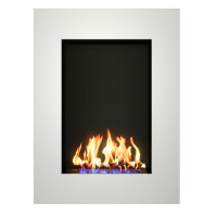 Биокамин ALBERT (ZeFire)