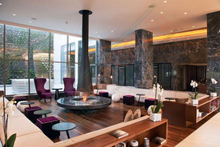 Центральный камин Filiofocus 2000 (Focus)